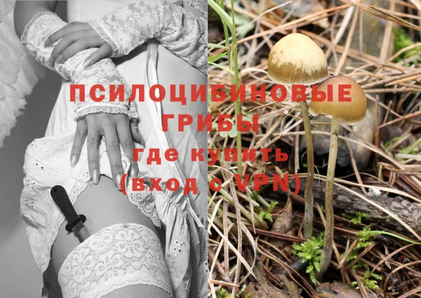 гидра Алексин