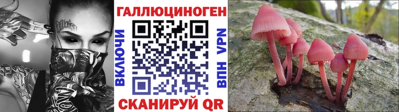 Псилоцибиновые грибы Psilocybe  Черемхово 